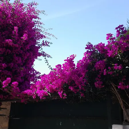 Casa Mor Do Monte *
